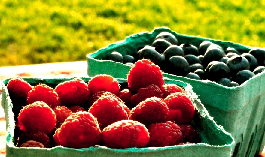 Summer Fresh Berries